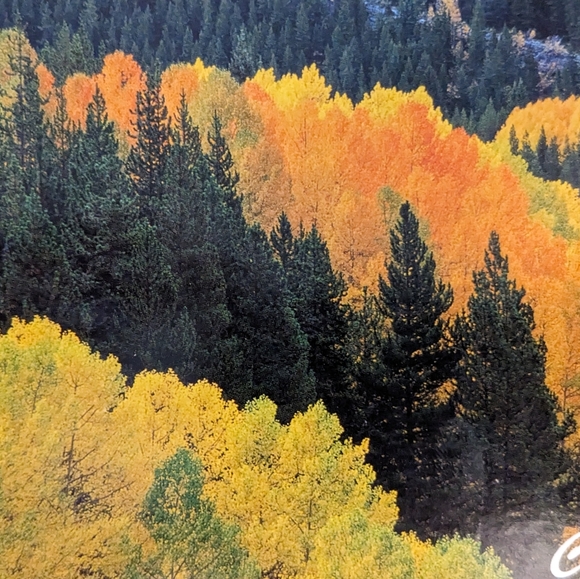 Meet your Posher, Ellen - Picture 2 of 2